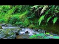 Relaxing River Sounds for Focus, Studying & A Peaceful Home 🌿 Relaxing Sleep Calming Anxiety