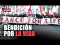 La BENDICIÓN “sentida” del PAPA LEÓN XIV a la MARCHA por la VIDA