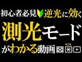 【写真初心者講座】ポートレートや逆光撮影で重要な測光モードの違いを解説します。 (スポット測光とマルチパターンが便利です。)