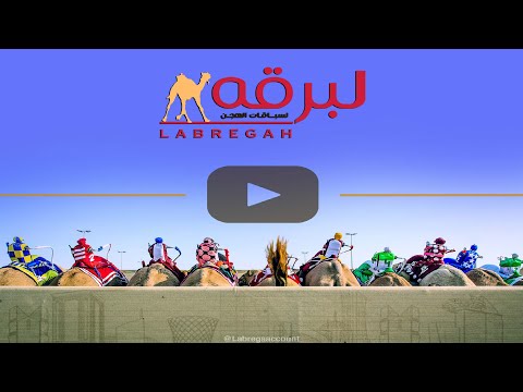 ش11 الغزيل ل سالم حمد عبدالله سعد شعيل المهرجان الصيفي 23 09 2025 حقايق بكار مقيض قطر 4 31 99