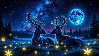 Drift Into Deep Sleep (NO ADS) • Relieve Stress, Remove Negative Blockage • Stop Overthinking