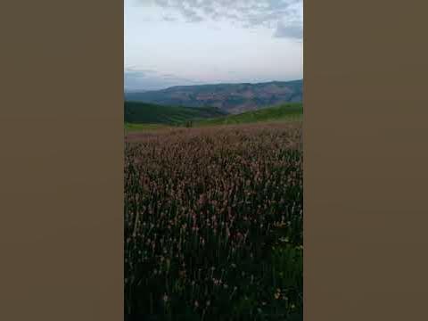 кыргыз жери - YouTube
