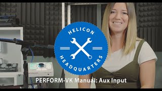 PERFORM-VK Manual E9: Aux Input