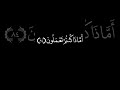 تلاوة هادئة كروما القران الكريم خلفية سوداء بصوت القارئ عبدالرحمن مسعد القران الكريم 