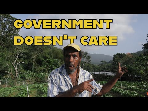 The sad state of agriculture in Trinidad