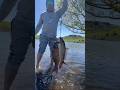 #carpfishing and #catfishing at Nicasio Reservoir good day #fishing