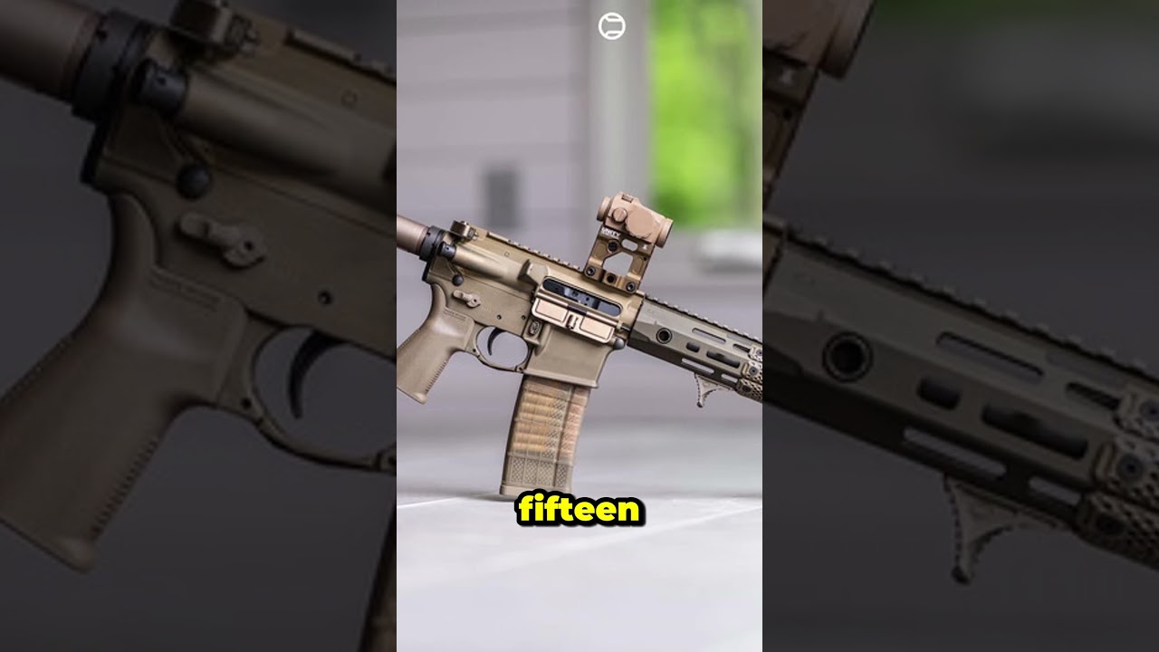 5 Most Popular Modular Rifles 