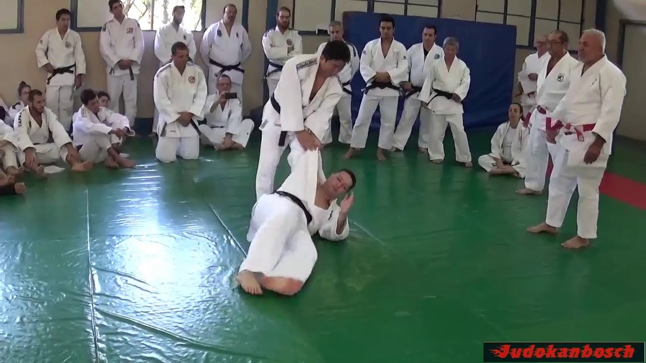 3  De ashi barai e Sode tsurikomi goshi