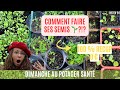 Comment faire ses semis sans dpenser  potager garden jardinage semer