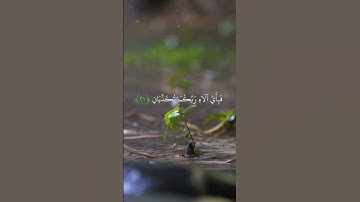 أجمل تلاوة لسورة الرحمن تهز القلوب 🌹