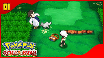 Pokemon OmegaRuby Walkthrough Part 1: Choose Your Starter (SPEED UP!)