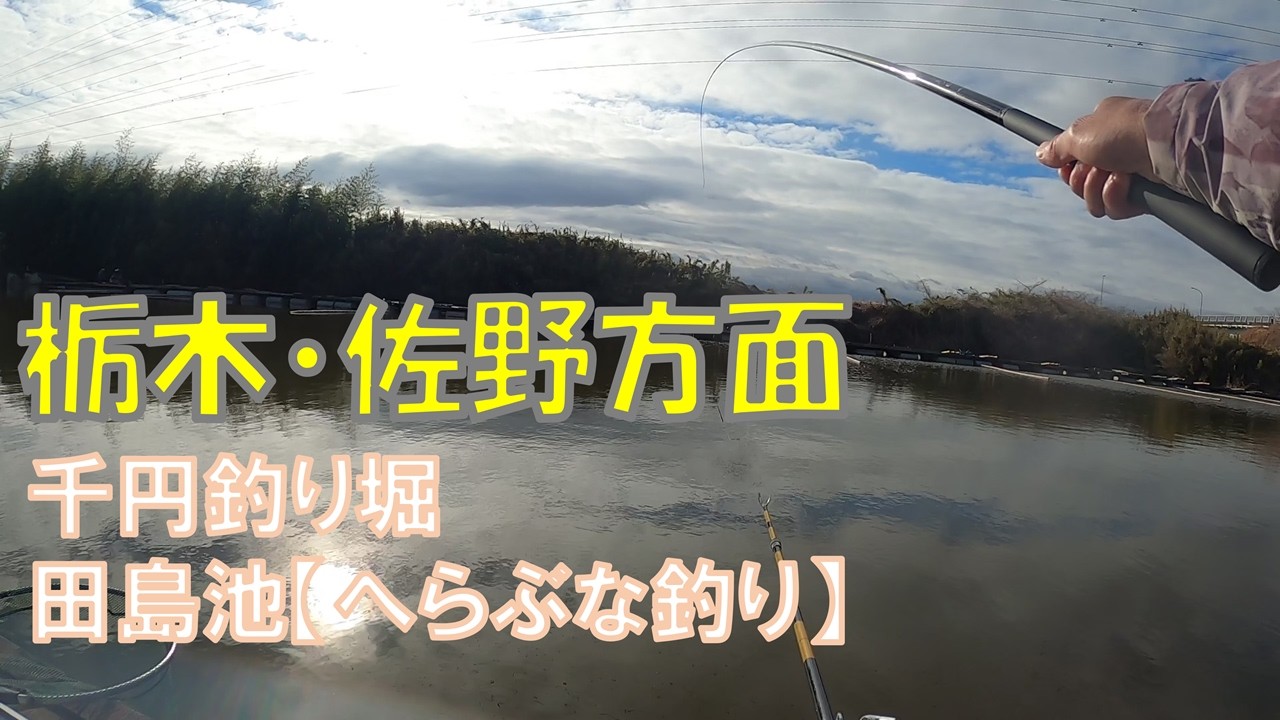 栃木・佐野方面の1,000円釣り堀＠田島池【へらぶな釣り】