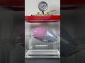Vacuum vs Vacuum Balloons in Water