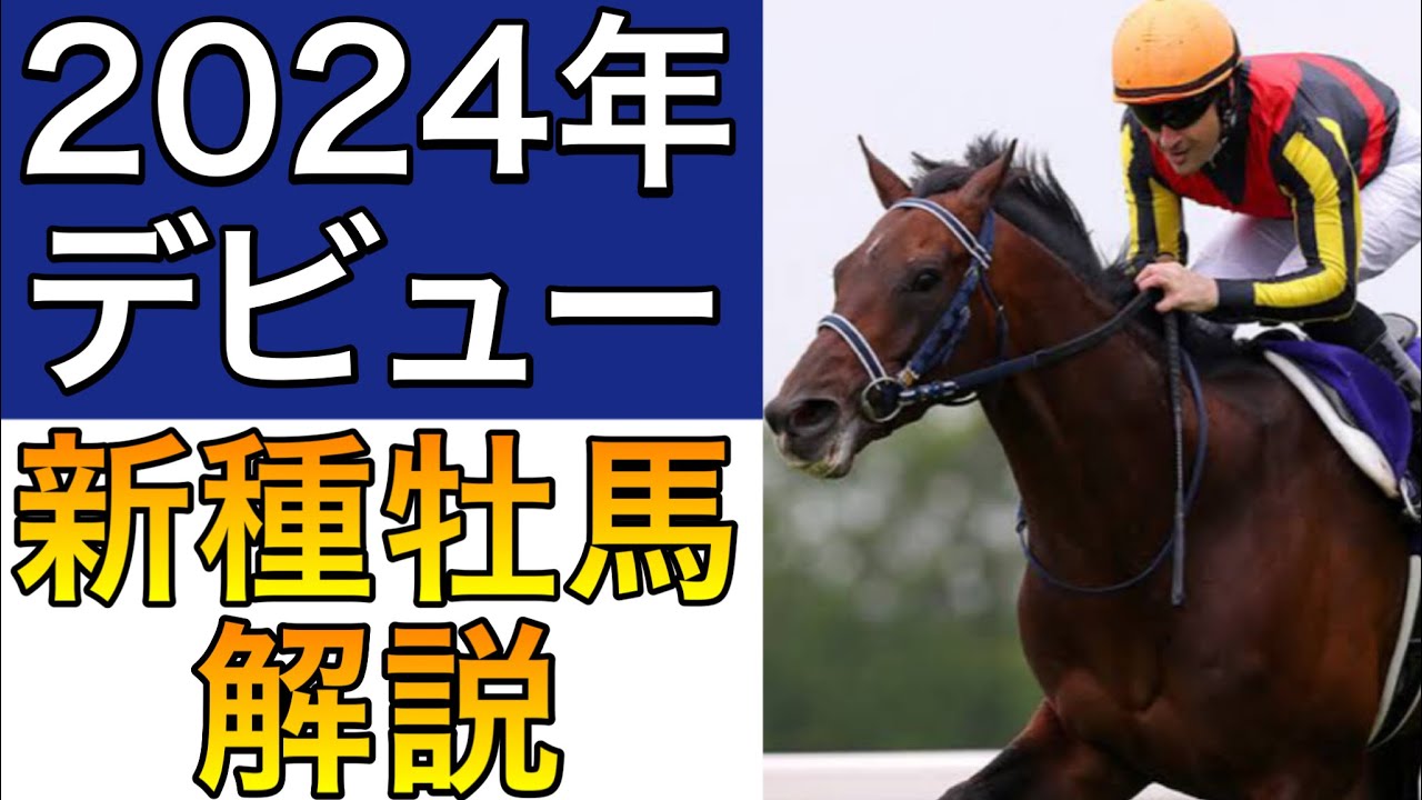 P子様おまとめ4点 23~Ninja ZX-4R SE/RR (8BL-ZX400P) POWERBOX パイプ ｜SP忠男