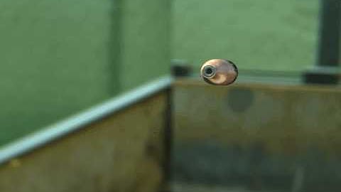 3D Bullet Test-Video Copilot