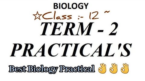 Class 12 Biology Practical File with full Readings(Term-||) ||As per latest syllabus for full marks.