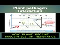 Plant pathogen interaction /zig zag Model /Jones and Dangle/ Plant Immunity/Mol Plant pathology