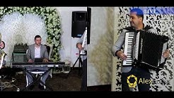 George Nicoloiu Muzica Populara De Petrecere Live Hore Sarbe