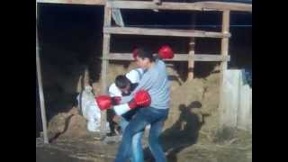 uanta vs buka