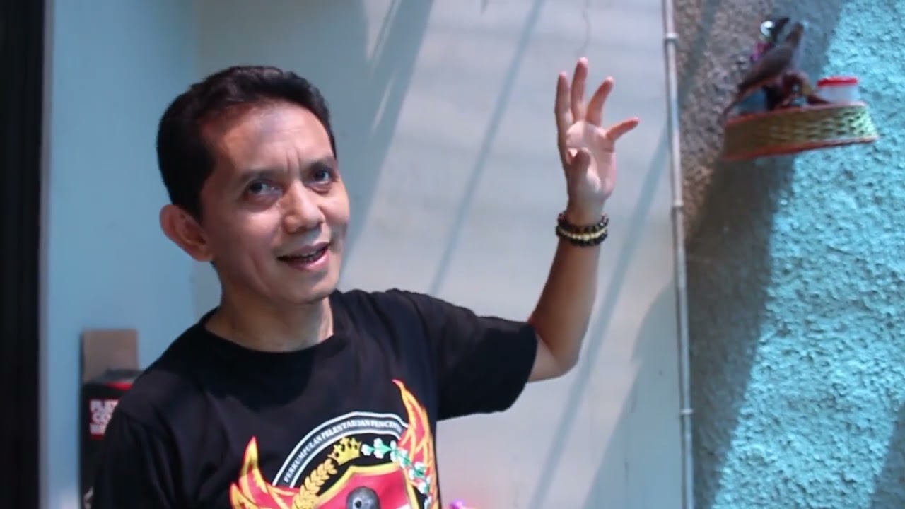 KOLEKSI PERKUTUT LOKAL H GIYANTO