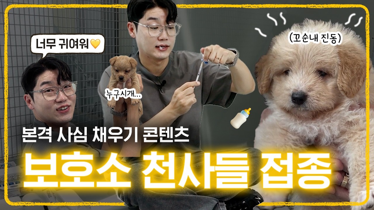유기견 보호소 꼬물이 10마리 접종 다녀왔어요 🏃🏻‍♂️ | 설채현 행동학 수의사