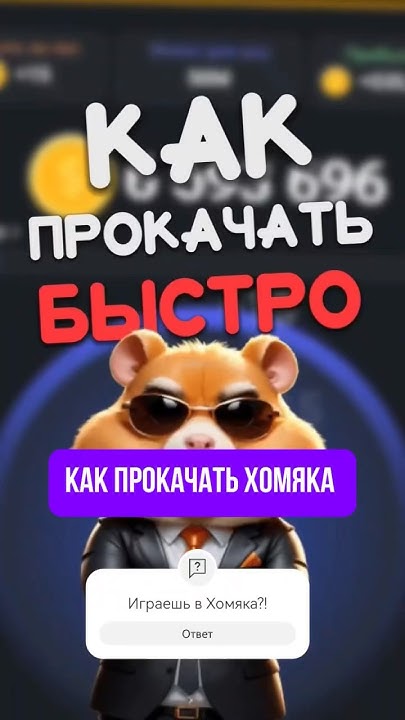 Как быстро прокачать хомяка #хомяк #hamsterkombat #notcoin #airdrop # ...