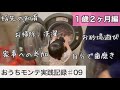 【1歳2ヶ月】モンテッソーリ教育やってきたこと紹介。忙しいままぱぱでもできる知育な遊び方紹介🌈(生後14ヶ月)
