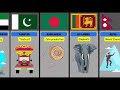 What's Your Country Famous for? 🤔 | Datalyzer | Comparison #countries #famous #datavicecomparison