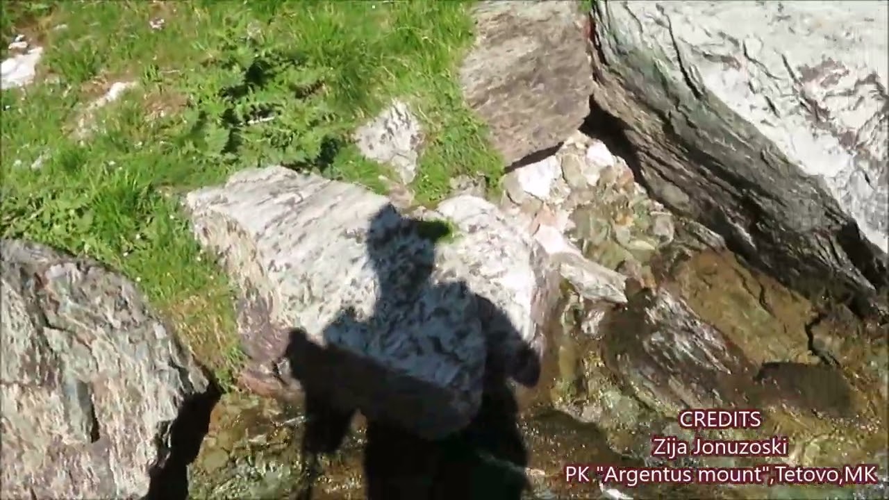 Cascades of Leshnička Reka,VIII part,Sharr Mountains National Park, MK.30 06 2024