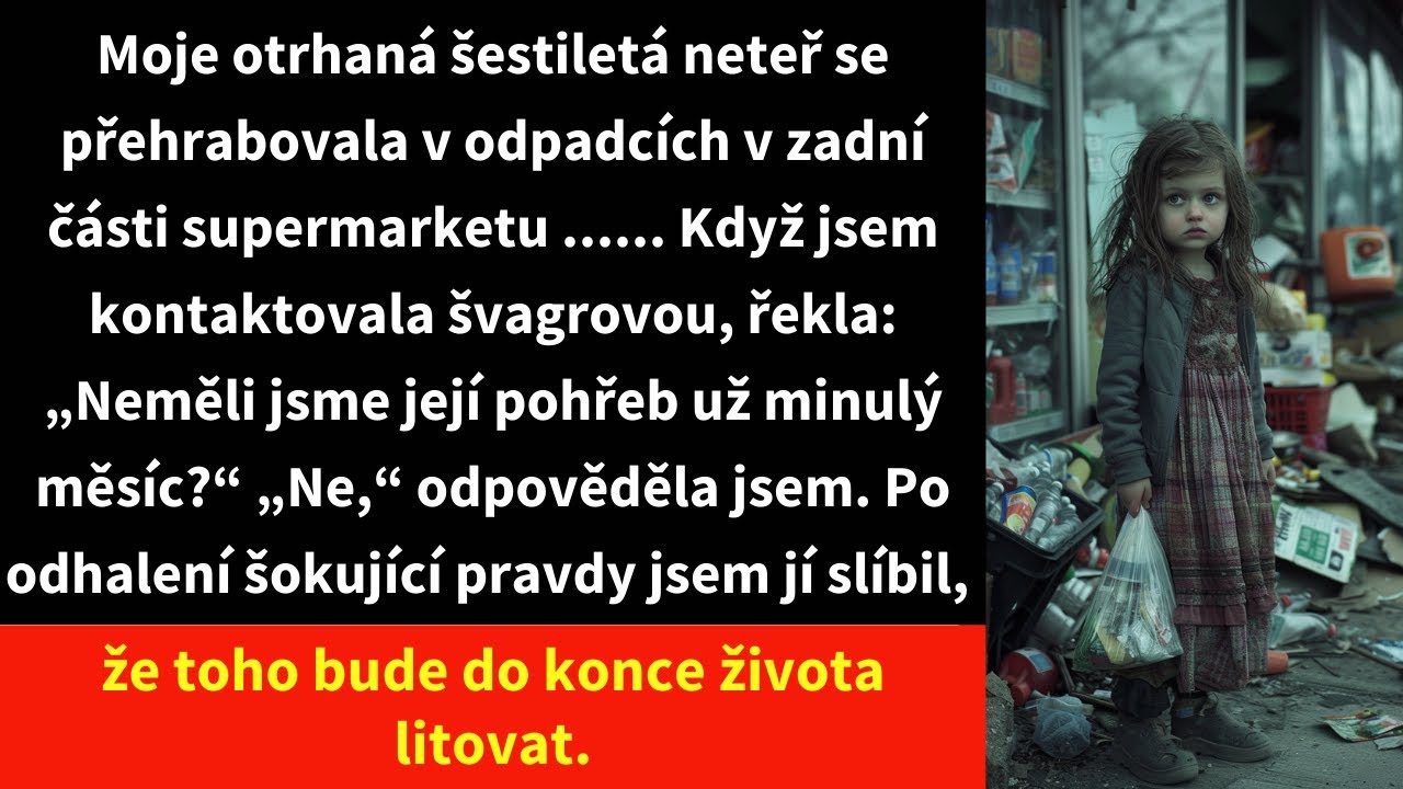 Vždycky jsem si myslela, že moje švagrová je jen sobecká, ale to, co jsem objevila za kontejnerem u supermarketu, mi převrátilo život naruby. Mezi toulavými kočkami tam sedělo dítě v roztrhaném...