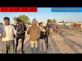 सस्ते मारवाड़ी घोड़ी बछेरा  Nagaur Horse Market Nagaur Pashu Mela 2022 Indian Horse Price Sale Video