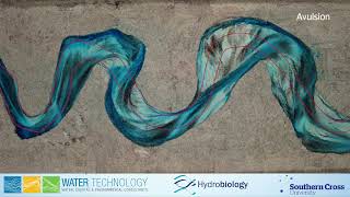 Meander Migration Physical Model