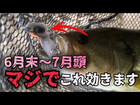 【バス釣り】これからの時期コレマジ効く。ノタノタSスリム