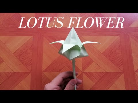 how to make a origami lotus flower instructions
