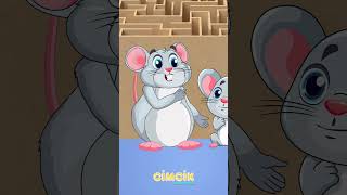 Buca Bilim ve Sanat Merkezi #bilimvesanatmerkezi #bucabilsem #bilsem