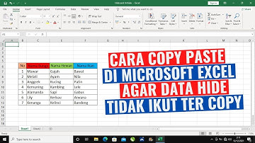 Cara Copy Paste di Excel Tanpa Data Hide atau Tersembunyi