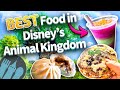 Ultimate guide to the best food in disneys animal kingdom