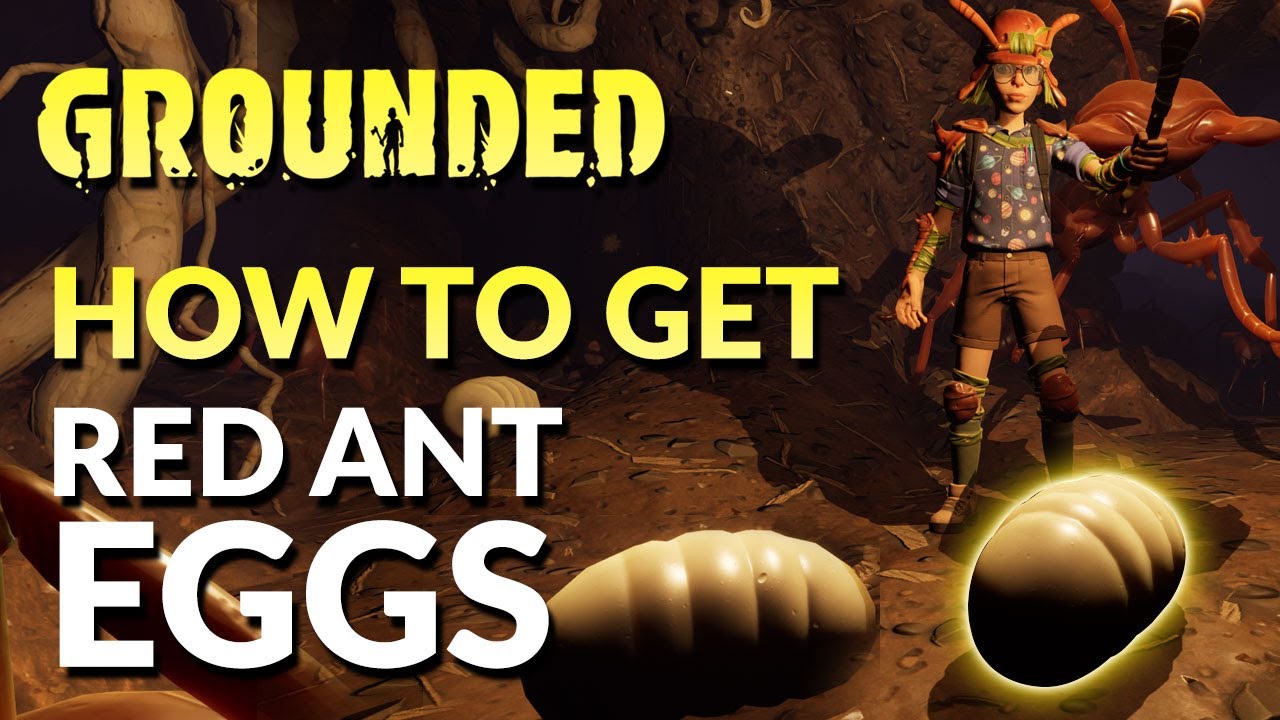 How to Get Red Ant Eggs Grounded (2022) YouTube