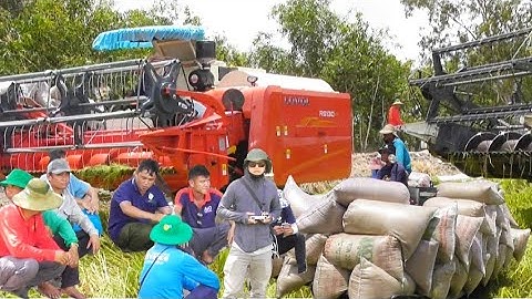 máy cắt 130 trung quốc mới mua cắt lúa nhật quá đỉnh chủ ruộng rất mê tập79 #maibangtv