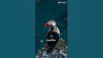 سلام عليكم سورة المزمل وَاذْكُرِ اسْمَ رَبِّكَ وَتَبَتَّلْ إِلَيْهِ تَبْتِيلًا (8)