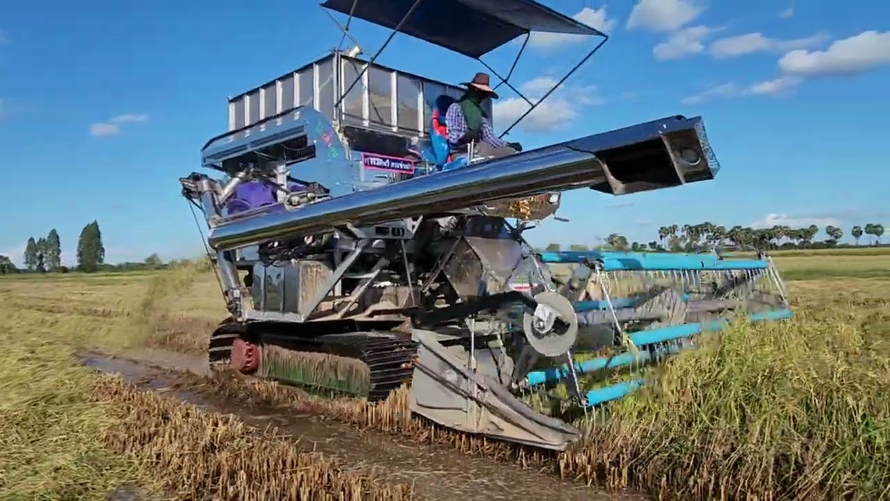 พรกินรีการช่าง ใหม่แกะกล่องกิ๊ก