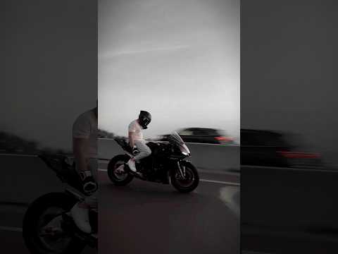 DHARIA - August