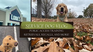 Retrievals, recalls, and more | Service dog vlog | Public access training | Seeing some progress!🦮🙌🏼 by helperpupatlas 1,305 views 1 year ago 22 minutes