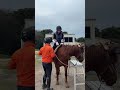 今年は午年ということで…🐎🐎