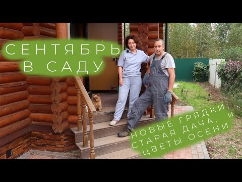 Wideo: Wszystko O Cechach Pielęgnacji I Uprawy Ogórków Siberian Garland F1 + Wideo