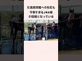 引退馬問題への対応も不憫すぎるJRA様が話題となっている #競馬 #競馬予想 #shorts