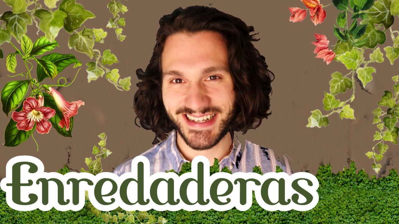 🌿Plantas TREPADORAS o enredaderas CON FLOR🌸 y resistentes...EXISTEN??🤣