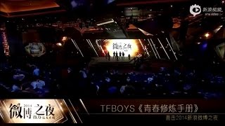[20150115] TFBOYS 2014微博之夜 青春修炼手册 表演 TFBOYS 2014 Weibo In Endless Manual Of Youth Show