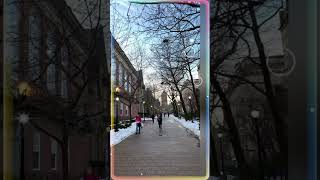 Download Lagu 2025 Stevie Wonder 《I Just Called To Say I Love You》  #steviewonder #music MP3