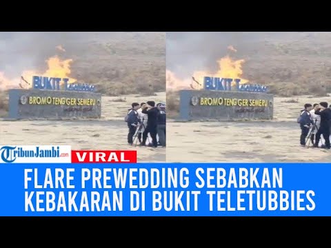 Viral Flare Prewedding Sebabkan Kebakaran di Bukit Teletubbies, Kawasan Wisata Bromo Ditutup
